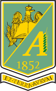 program program