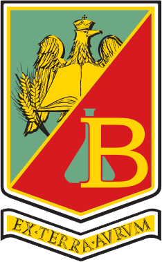program program