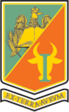 program program