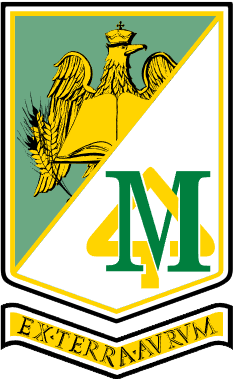 program program